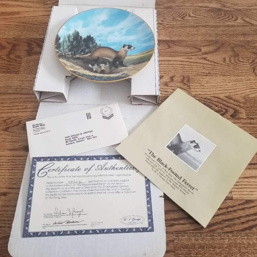 W.S George "The Black-Footed Ferret" Collector Classic Art Nature Gift Beautiful